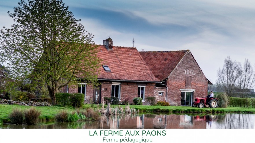 La ferme aux paons 2