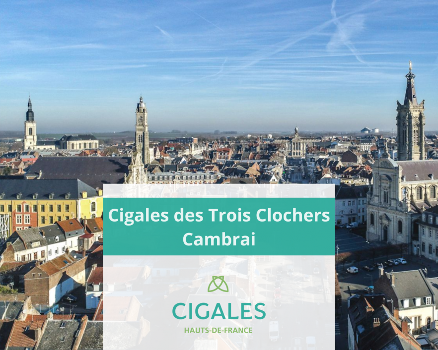 Cigales des 3 clochers ARTICLE