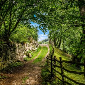 LA FERME DU CHEMIN BLANC