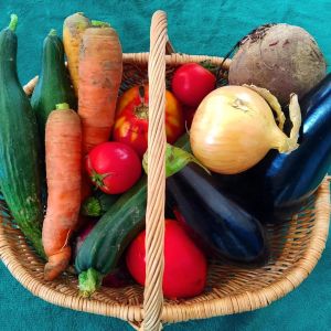 LE POTAGER DE LA GRANDE OURSE