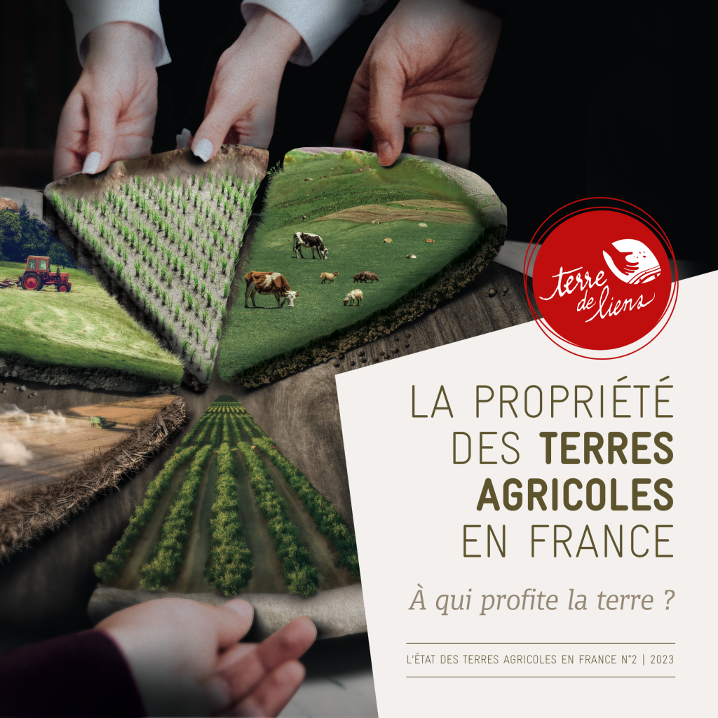 13 COUVERTURE RAPPORT TDL