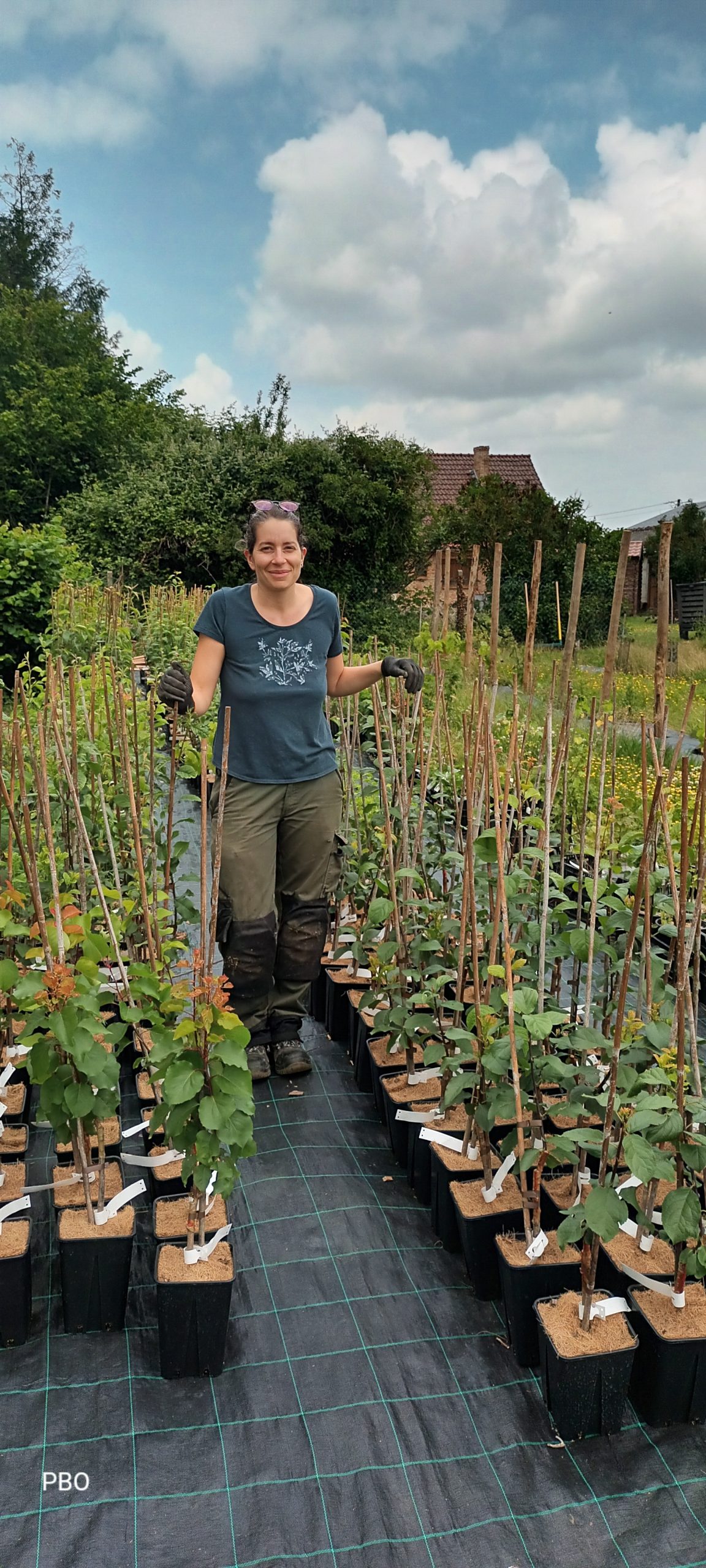 Pépinière du bois gourmand rotation