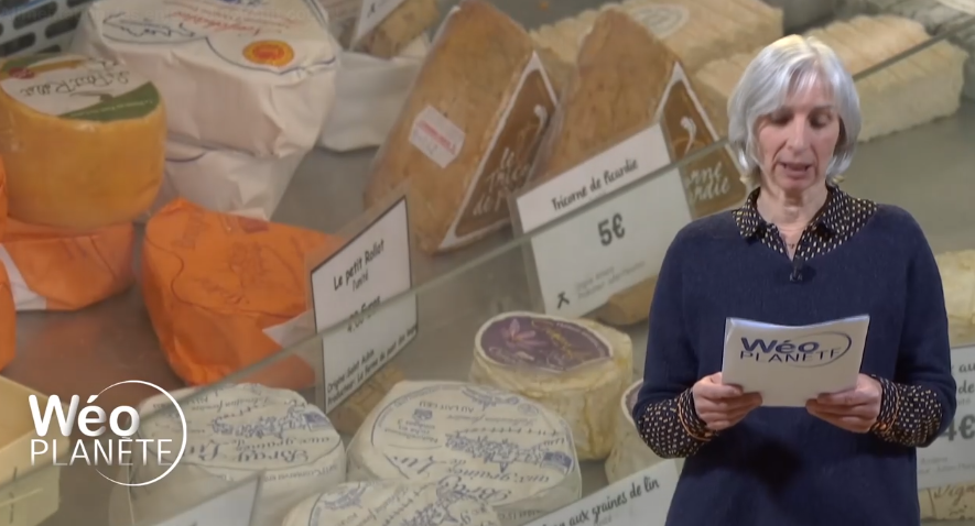 le court circuit wéo